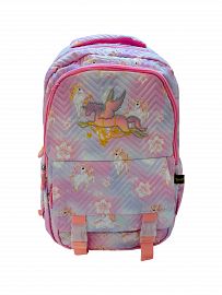 Mochila de espalda 17